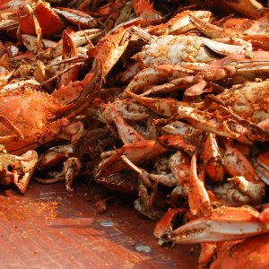 Wholesale Crabs In Chile